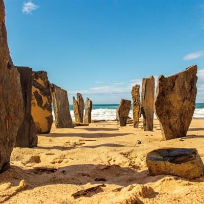 IM体育官方网站